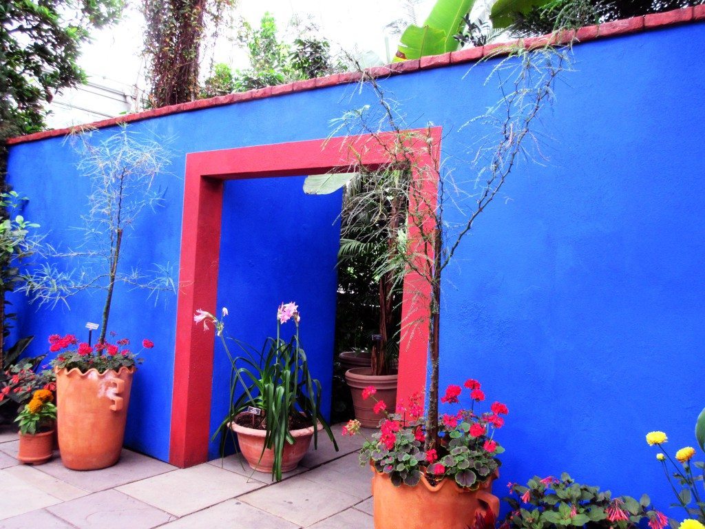 FridaKahlo_080815D
