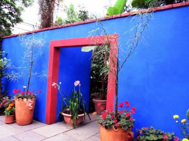 FridaKahlo_080815D