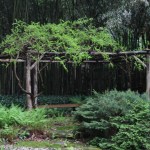 Garden G
