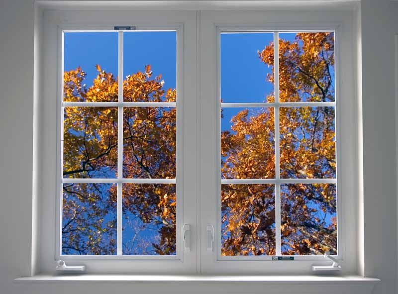 Double window looking out to autumn colored tree
