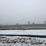 Holocaust Remembrance Day E