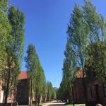 Holocaust Remembrance Day L