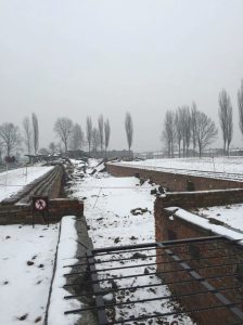 Holocaust Remembrance Day c 768x1024 1