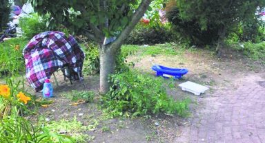 Homeless_D