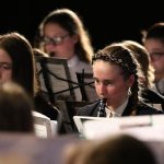 HonorBand102