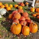 IMG 20181021 113746 578