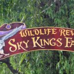 Sky Kings Falconry Photo by Kimberly Dijkstra