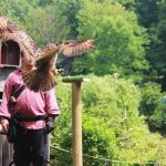 Sky Kings Falconry Photo by Kimberly Dijkstra