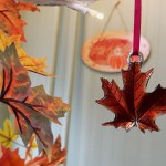 IMG 4269b