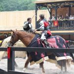 IMG 6743 joust