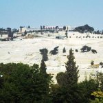 Israel 7b