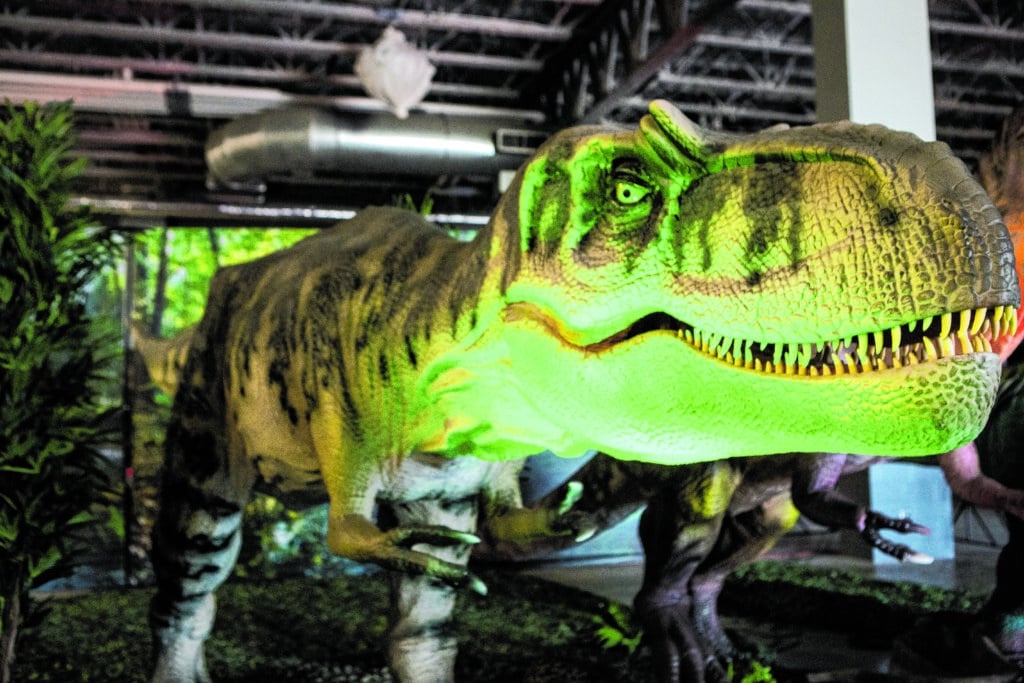 LIW_dino_021424_B