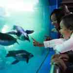 MysticAquarium B