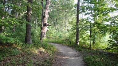 Nassau-Suffolk Greenbelt Trail-Cold Spring Harbor (6)