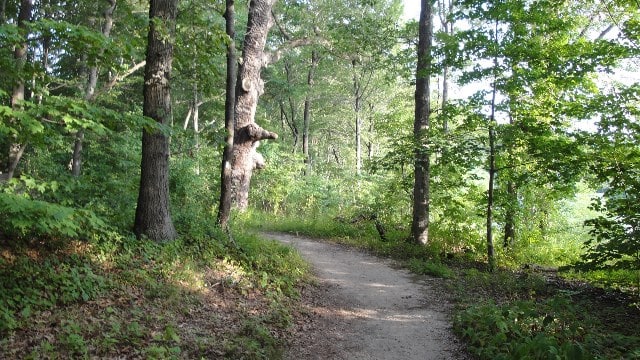 Nassau-Suffolk Greenbelt Trail-Cold Spring Harbor (6)