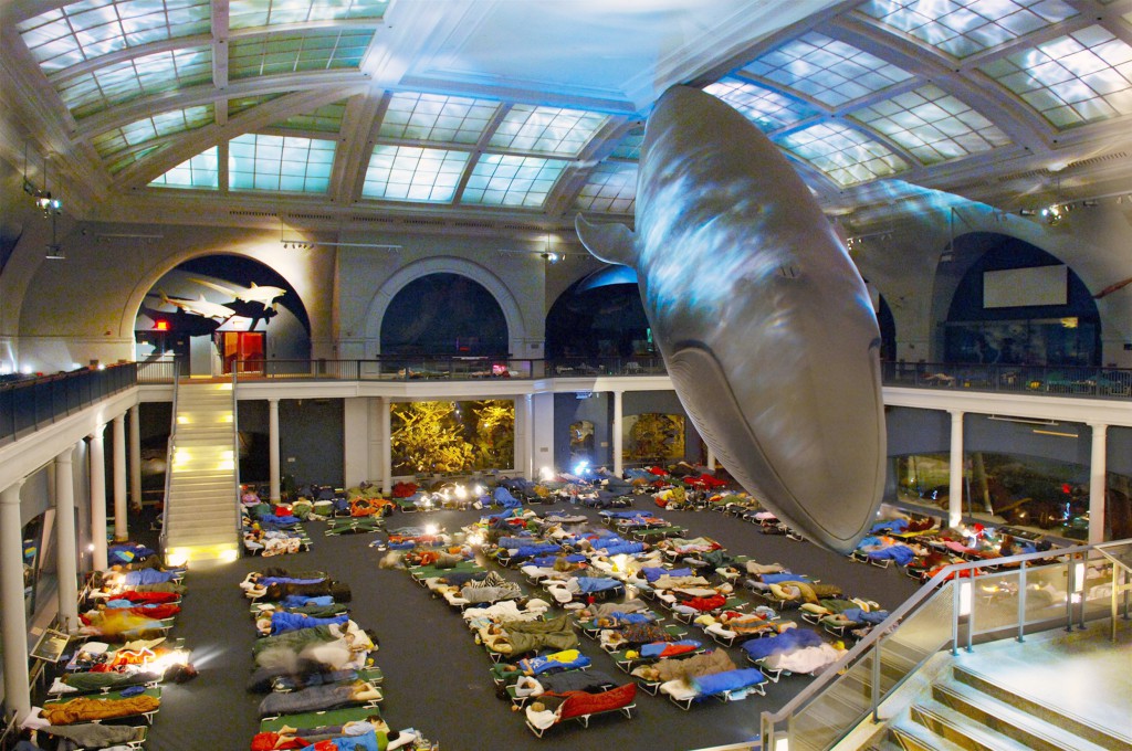 NightMuseum_040315