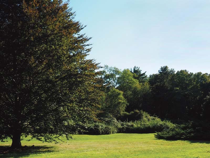 North Shore Land Alliance_A
