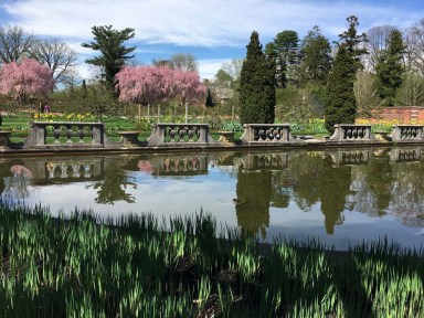 OldWestburyGardens2019-KimberlyDijkstra1-web