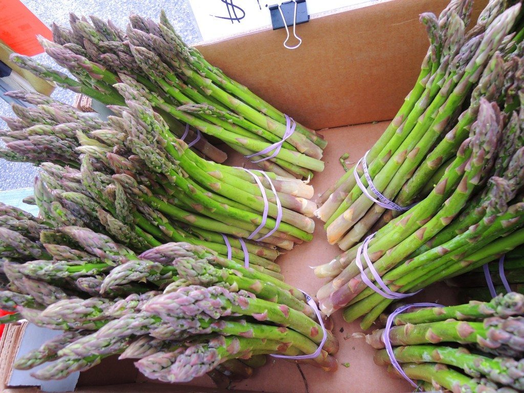 Outdoors_Market_I