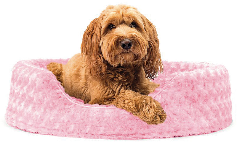 PetToys_F