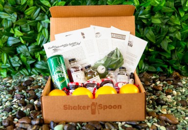ShakerandSpoon__C