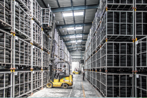 ShippingDelays.Cover 11 3 C