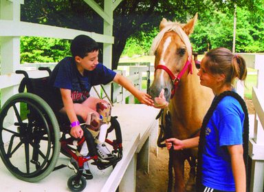 SpecialNeeds_DB