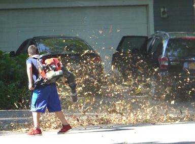 TNH Leaf Blowers _A WEB