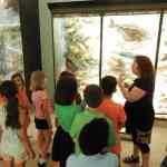 Teacher Hall of Fishes HR