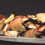 Trulucks FloridaStoneCrab
