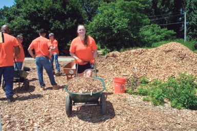 Volunteers_B-web