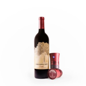 WineSpeaker B