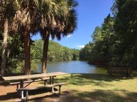 activities preservea