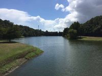 activities preservec