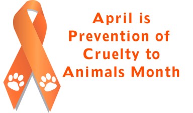 animal cruelty prevention month