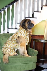 anthony rubio o04a2287 new 100 683x1024 1