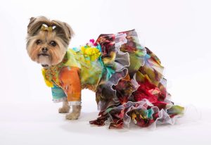 anthony rubio mg 9764 new 1024x704 1