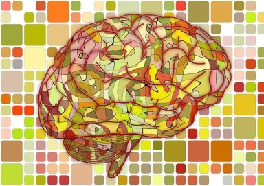 brain-951871_640
