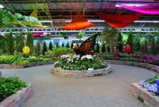 butterfly garden 2019 1024x683 1