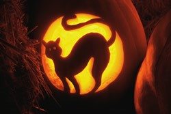 cat-o-lantern