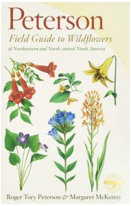 coldisclafani 040921.skunkcabbage.petersonguide.web 653x1024 1