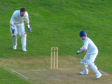 cricket-510043_640