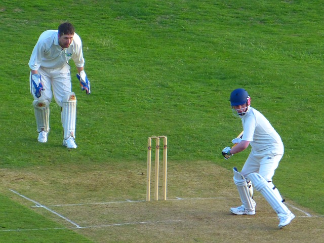cricket-510043_640