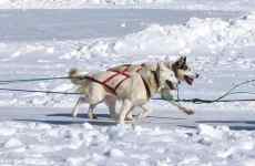 dsc 0768b 1024x666 1