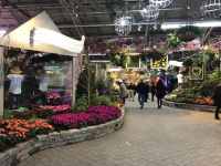 entrance 2018 flower show 1024x768 1