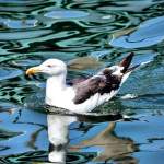 fb img 1535679538315