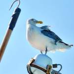 fb img 1535679588122