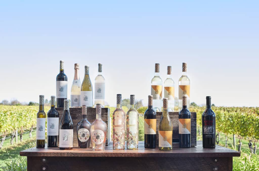 full lineup 1 1024x678 1