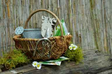 garden-gardening-1290801_1280