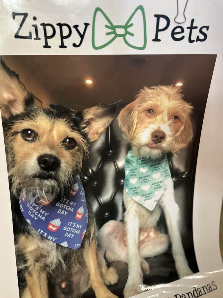 gnmarket n 768x1024 1